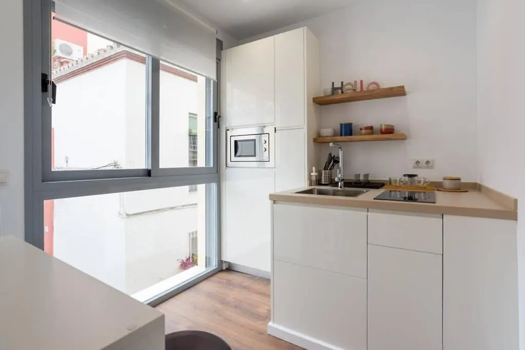 Tgh/ Malaga Center Urban Style Apartment